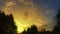 Beautiful sunset time-lapse with fluffy clouds and tree silhouettes