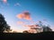 Beautiful sunset with tree leaves silhouette and colourful clouds