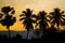 Beautiful sunset tropical beach with palm tree and golden sky and the smoky soot produced by farmers\\\' weed burning.