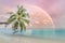 Beautiful sunset view, palm tree over blue sea and rainbow sky. Dreamy seascape