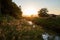 Beautiful sunset view of the Suncheonman Bay Wetland Reserve in South Korea