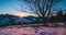 Beautiful Sunset view under cherry tree in winter alpine snowy nature in cold evening country Time lapse dolly shot