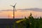 Beautiful sunset yellow, orange sky with dutch windturbines.