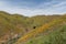 Beautiful superbloom vista in a mountain range near Lake Elsinore