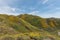 Beautiful superbloom vista in a mountain range near Lake Elsinore