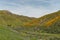 Beautiful superbloom vista in the Walker Canyon mountain range near Lake Elsinore