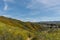 Beautiful superbloom vista in the Walker Canyon mountain range near Lake Elsinore