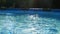 The beautiful surface of the water in the pool. The ripples in the water and the sun's glare. The morning sun
