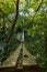 Beautiful suspension bridge in the forest