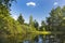 Beautiful Swamp Lake In The High Fens, Belgium