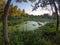 A beautiful swamp landscape in evening light