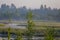 A beautiful swamp landscape during the sunrise in an early spring morning