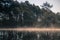 A beautiful swamp pond with a raising mist during the sunrise. Quagmire in a frowen wetlands in autumn. Bright light with sun flar