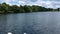 Beautiful swan boats at the lake at summer