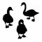 Beautiful swan silhouette. Cartoon goose bird fairytale creature and graceful duckling elegance isolated illustration icons set.