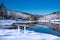 Beautiful swans relaxing on the snow by the lake in frosted forest.