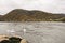 Beautiful swans swimming in danube river bank in autumn around Durnstein town,Austria