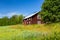 Beautiful swedish scandinavian rural summer view of an old traditional red rustic wooden timber house. Green field with trees and