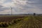 Beautiful Swietokrzyskie Province. A view of the fields with aftercrops. And a windmill that produces electricity.