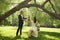 Beautiful swings are suspended in the park on a tree, the bride sits on a swing and holds the bridegroom`s hand