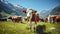 Beautiful swiss cow on green fields with fresh grass at sunny day, Swiss mountains at the background.