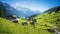 Beautiful swiss cow on green fields with fresh grass at sunny day, Swiss mountains at the background.