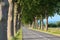 Beautiful sycamore trees alley and road in summer, Southern France