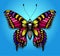 Beautiful tattoo for your chest. Bright colorful butterfly on blue background. Tropical realistic Machaon butterfly.