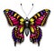 Beautiful tattoo for your chest.Colorful Machaon butterfly.Tropical realistic butterfly with shadow.Symbol of femininity