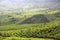 Beautiful tea garden at munnar in Kerala , colors of india