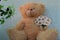 Beautiful teddy bear with a bouquet of white daisies