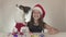 Beautiful teen girl and dog continental toy spaniel papillon in santa claus costumes enjoy the new year`s serpentine on