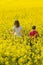 Beautiful teenage blonde girl and young brunette brother walk together, among yellow flowers, at a huge field.