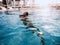 Beautiful teenage girl floats in a swimming pool with her head back