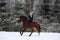 Beautiful teenager girl galloping on brown horse