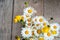 Beautiful tender bouquet of summer meadow flowers with wild chamomiles on wooden background. Floral composition in rural vintage