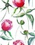 Beautiful tender gentle wonderful lovely cute spring floral herbal peonies with green leaves pattern watercolor hand sketch