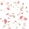 Beautiful tender petals flying on white background