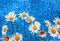 beautiful tender white daisy flowers in a smart bouquet a brilliant holiday blue background with bright circles and shine