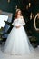 Beautiful tender young woman sexy brunette bride in a luxury white wedding dress lace chiffon Summer happiness awaits the groom