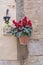 Beautiful terracotta flowerpot with red cyclamen flowers Valldemossa Mallorca