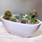 Beautiful terrarium with succulent, cactus, flower