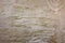 Beautiful texture decorative Venetian stucco for backgrounds cracked