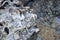 Beautiful texture of the light stone is photographed in close-up. Details of rock nature texture. A rocky ground surface