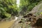 Beautiful texture of stone riverbed polished by mountain river f