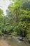 Beautiful texture of stone riverbed polished by mountain river flow surrounded by wild rainforest on a sunny summer day. Bali