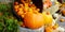 Beautiful Thanksgiving decoration concept. Decorative pumpkins and other vegetables with different shape and colors close up.