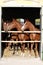 Beautiful thoroughbred foals looking over stable door