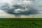 A beautiful thundercloud with rain hovered over a field of wheat. A terrible black cloud on the eve of a tornado and a natural