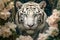 Beautiful tiger portrait among jungle flowers.AI generated